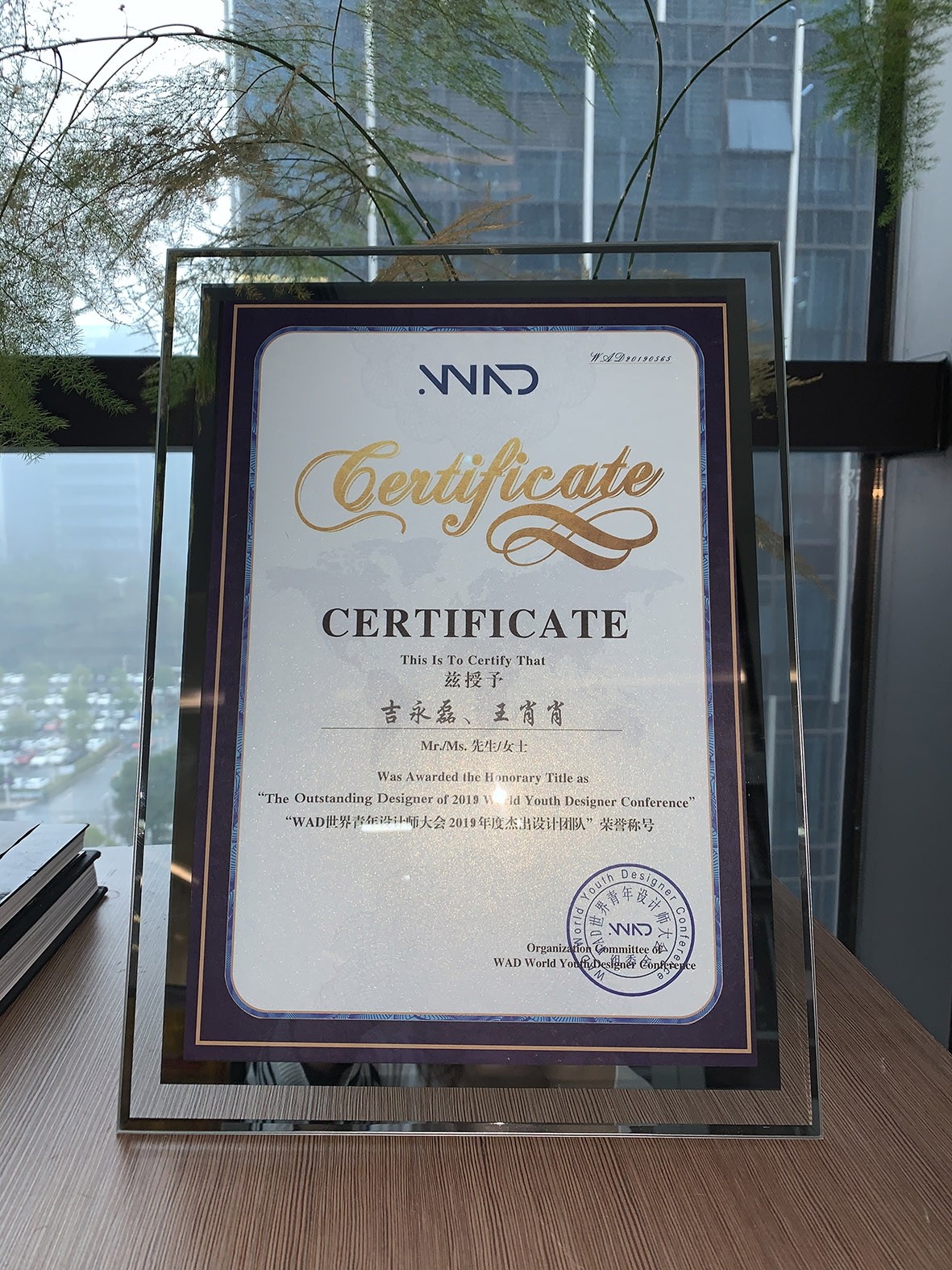 1611214285442840.jpg 5.jpg